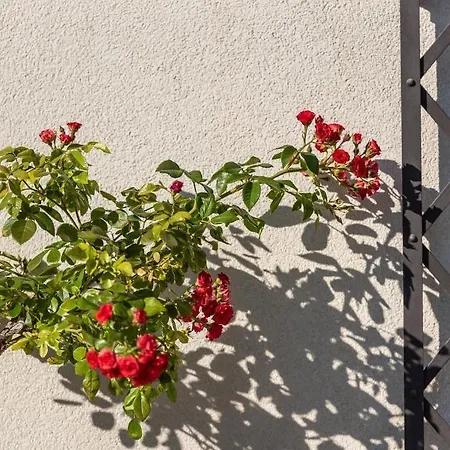 호텔 Heritage Maskovica 파코스탄